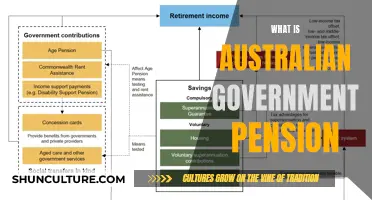 Australian Government Pension: Understanding Your Retirement Benefits