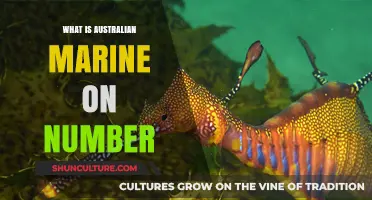 Marine Biodiversity: Australia's Unique Underwater World