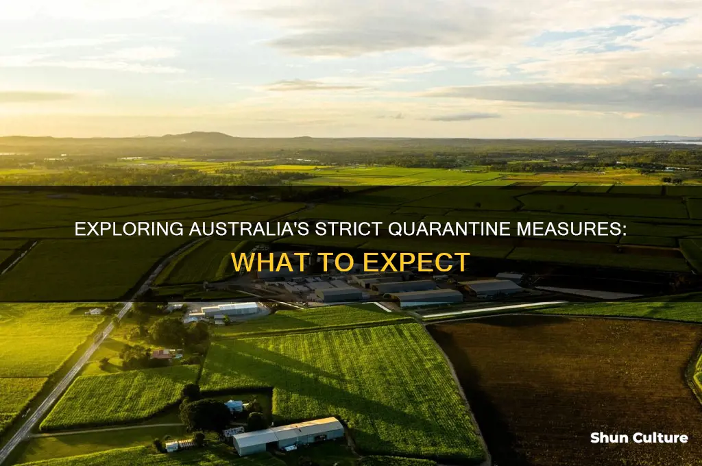 what is australian quarantine like