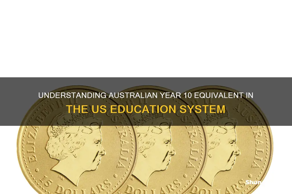 what is australian year 10 in america