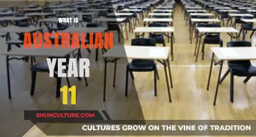 Understanding Australian Year 11: Curriculum, Challenges, and Opportunities