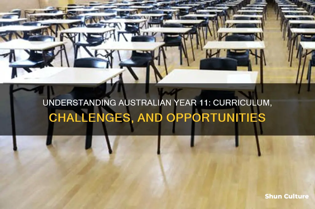 what is australian year 11