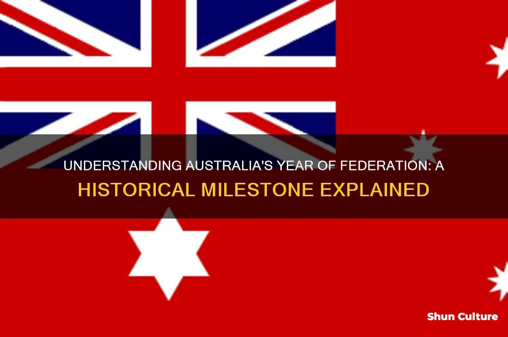 what is australian year of federation
