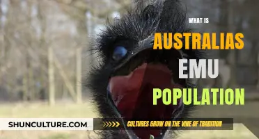 Emu Population in Australia: Trends and Insights