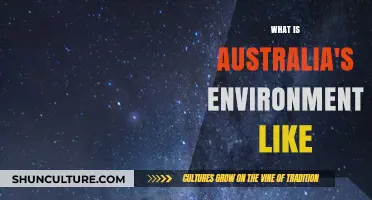 Australia's Unique Environment: A Natural Wonder