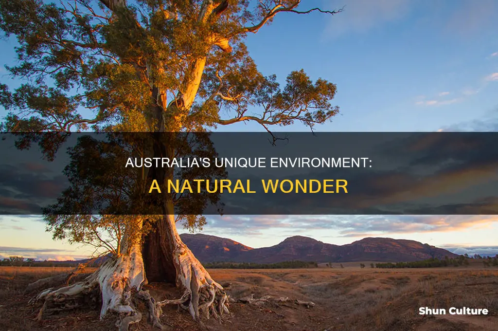 what is australia