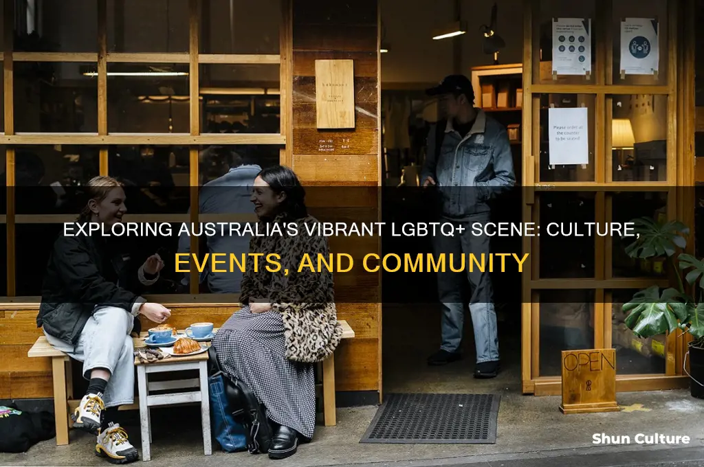 what is australias gay scene like