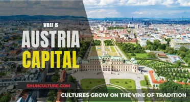 Unveiling Vienna: Austria's Capital City