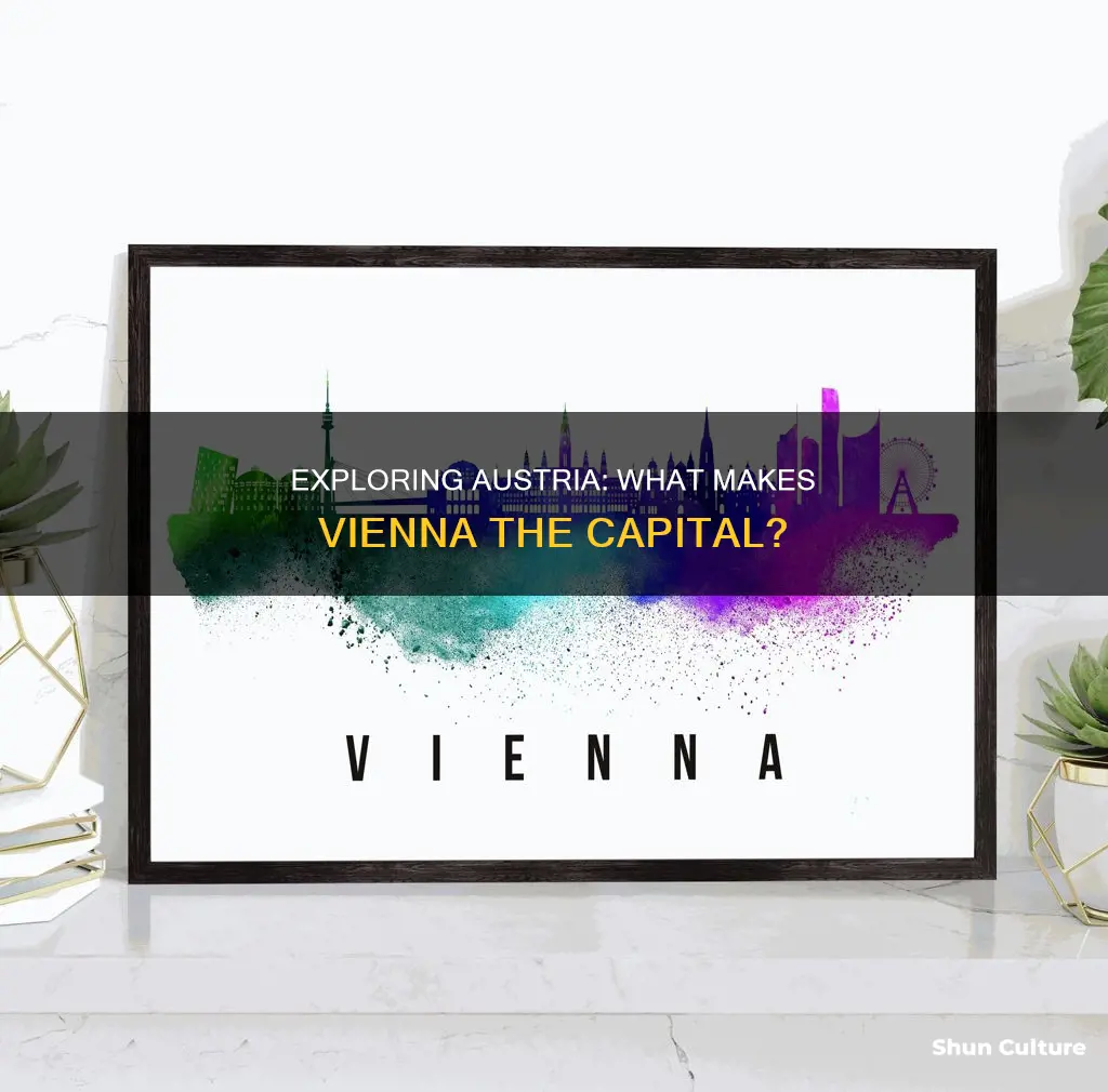 what is austria capital