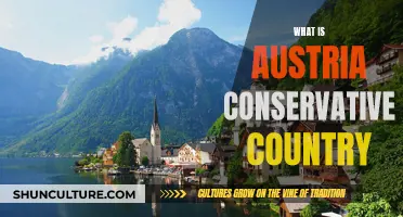 Austria's Conservative Identity: A Nation's Political Heritage