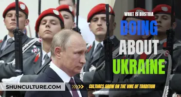 Austria's Role in the Ukraine Crisis: A Comprehensive Overview