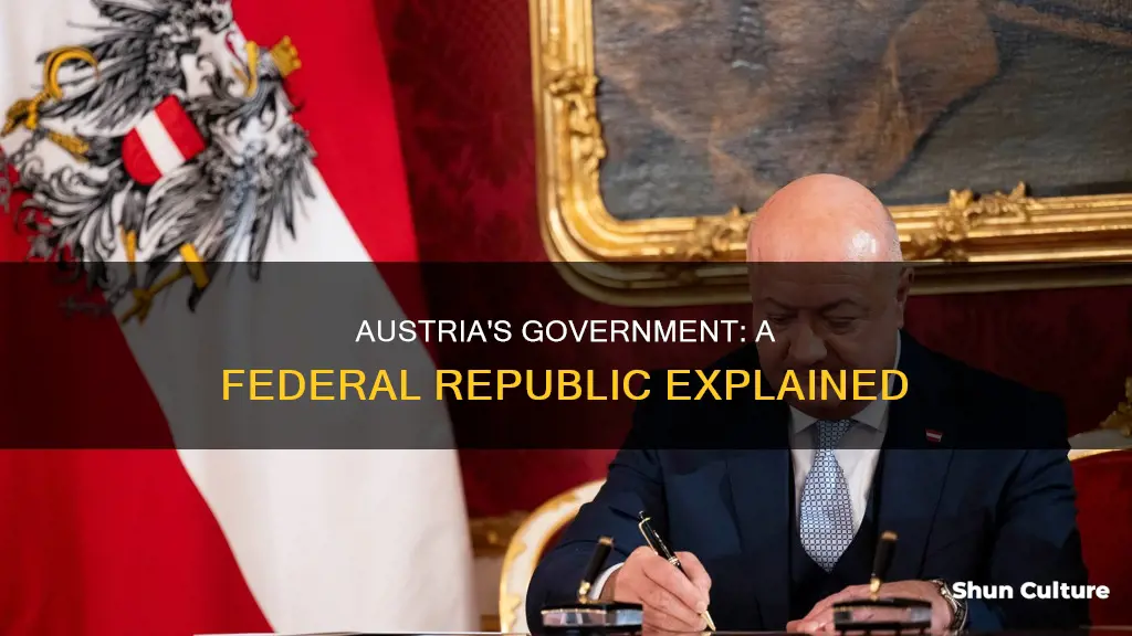 what is austria government