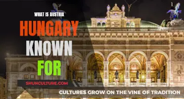 Austria-Hungary: A Rich History of Music, Wine, and Architecture