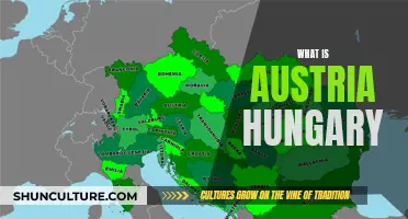 The Rise and Fall of Austria-Hungary: A Historical Overview