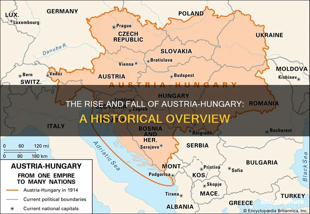 what is austria hungary