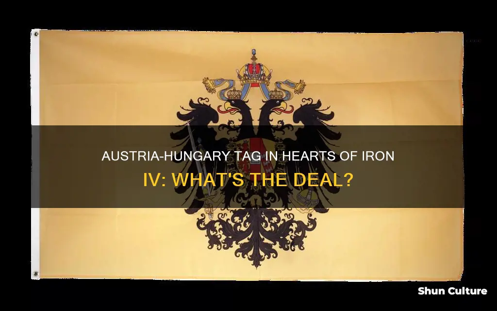 what is austria hungery tag in hoi4