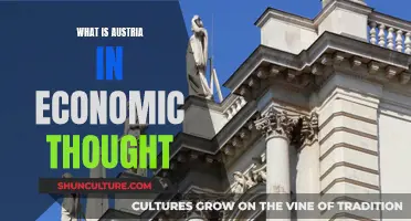 Austria's Economic Legacy: A Historical Overview