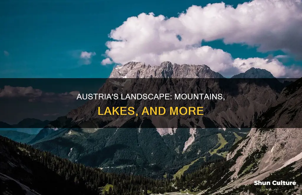 what is austria landscape like