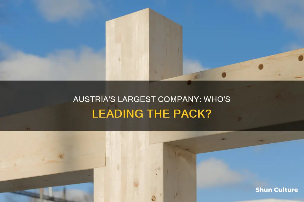 what is austria largest company