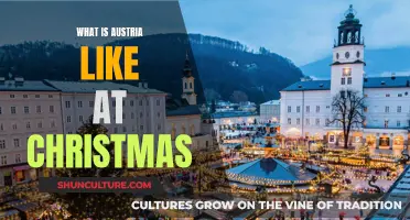 A Winter Wonderland: Exploring Austrian Christmas Magic