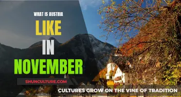 Austria's November Charm: A Weather & Travel Guide