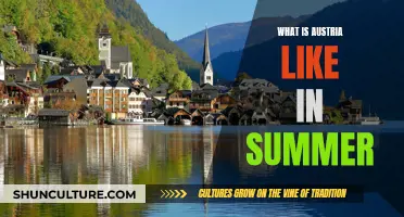 A Summer in Austria: Sun, Lakes, and Alpine Fun