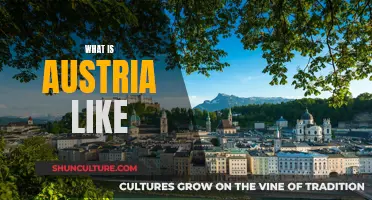 Exploring Austria's Charms: A Cultural and Scenic Journey