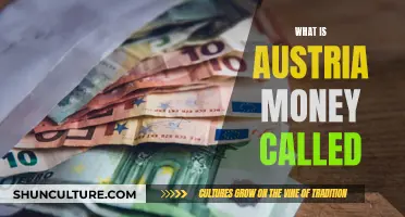 Exploring Austria's Currency: Unveiling the Euro's Role