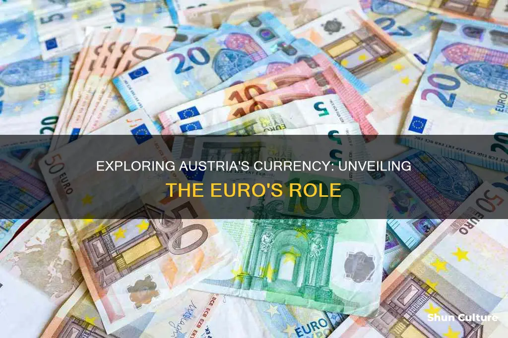 what is austria money called