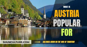 Exploring Austria's Treasures: From Mountains to Chocolate