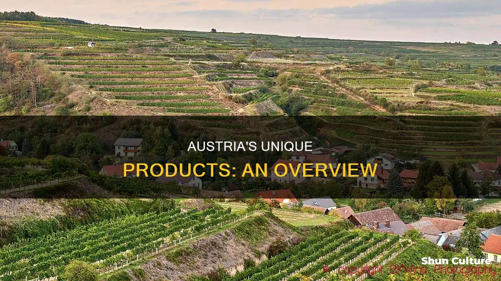 what is austria products