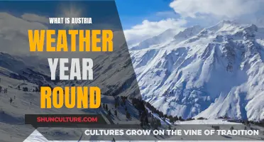 A Year of Austrian Weather: From Snow-Capped Peaks to Sunny Alps