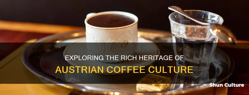 what is austrian coffee