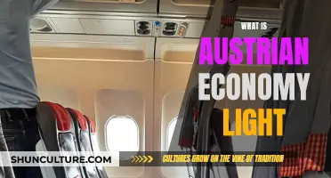 Understanding Austria's Unique Economic Model: The 'Austrian Economy Light