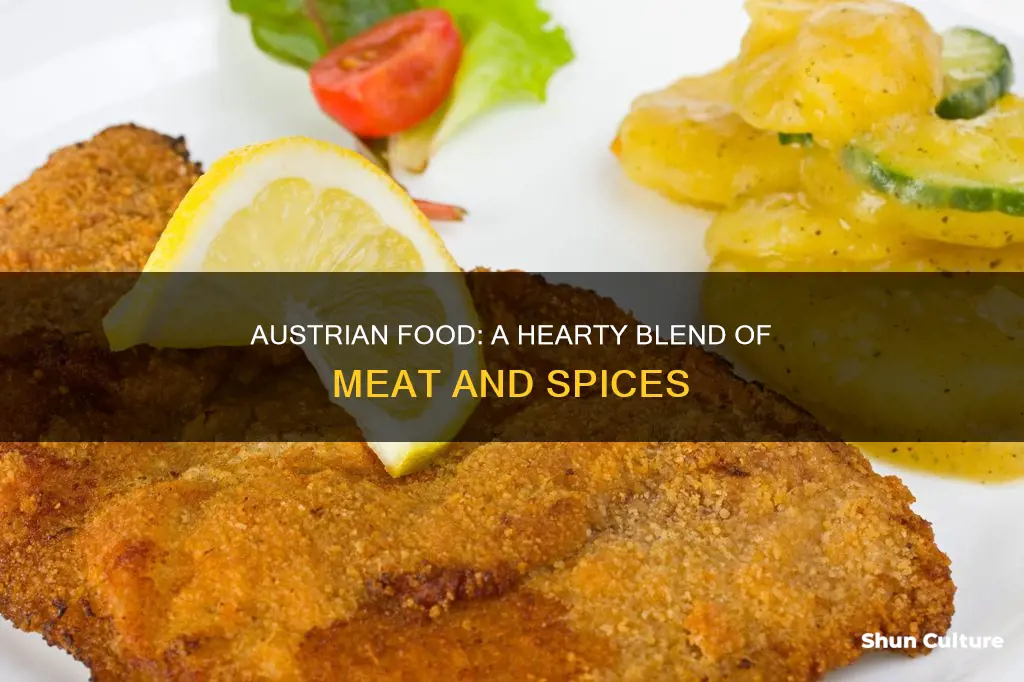 what is austrian food made of