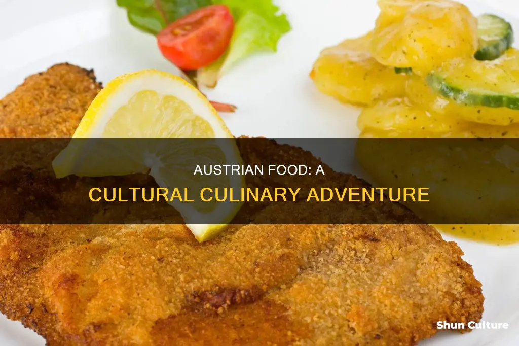 what is austrian food