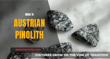 Unveiling the Mystery: What is Austrian Pinolith?