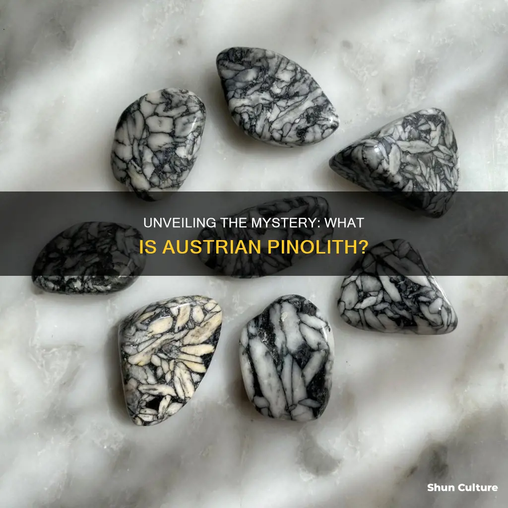 what is austrian pinolith