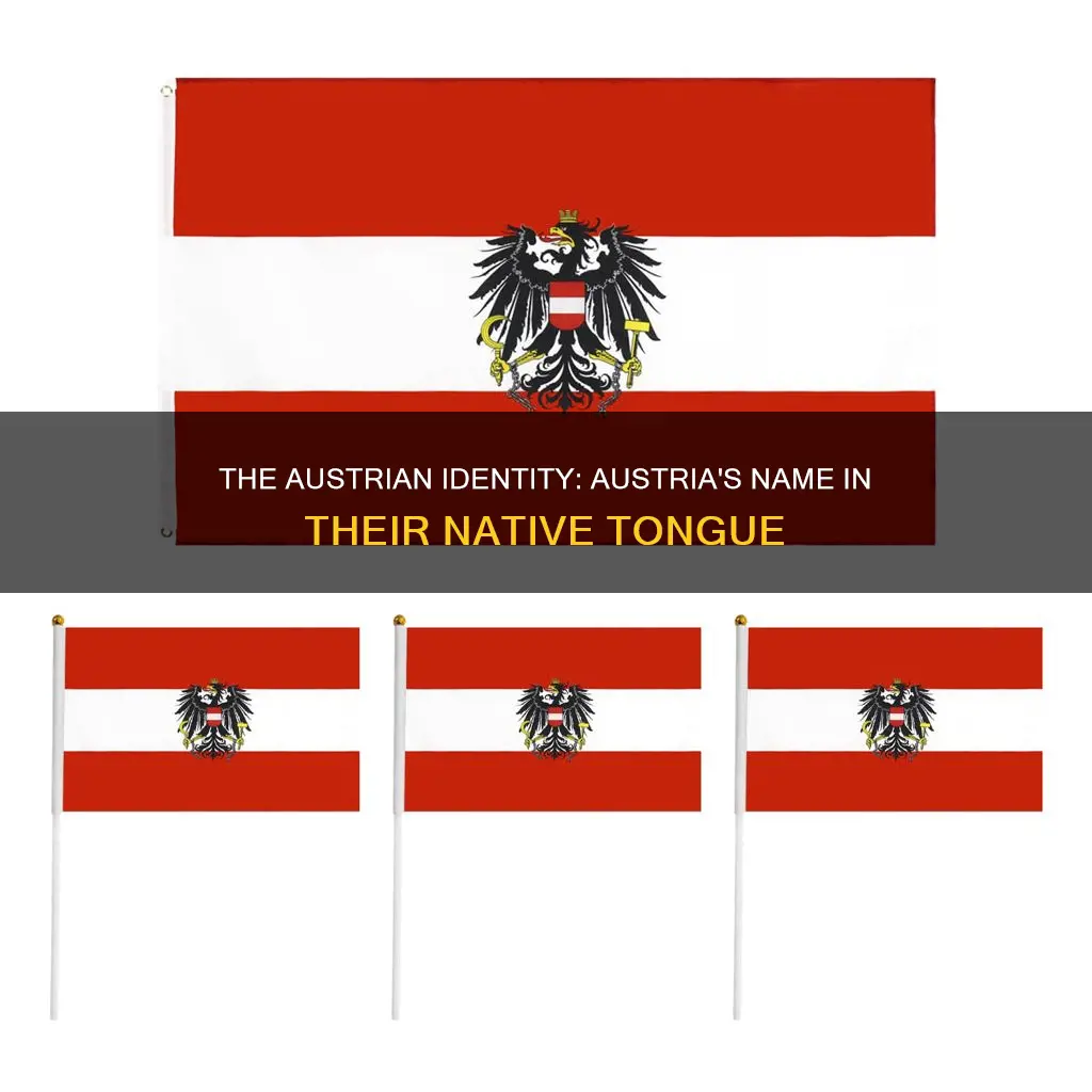 what is austrian word for austria