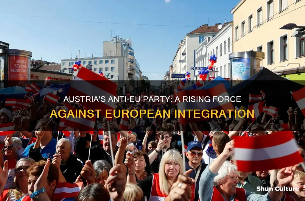 what is austrias anti eu party