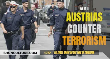 Austria's Counter-Terrorism Strategy: A Comprehensive Overview