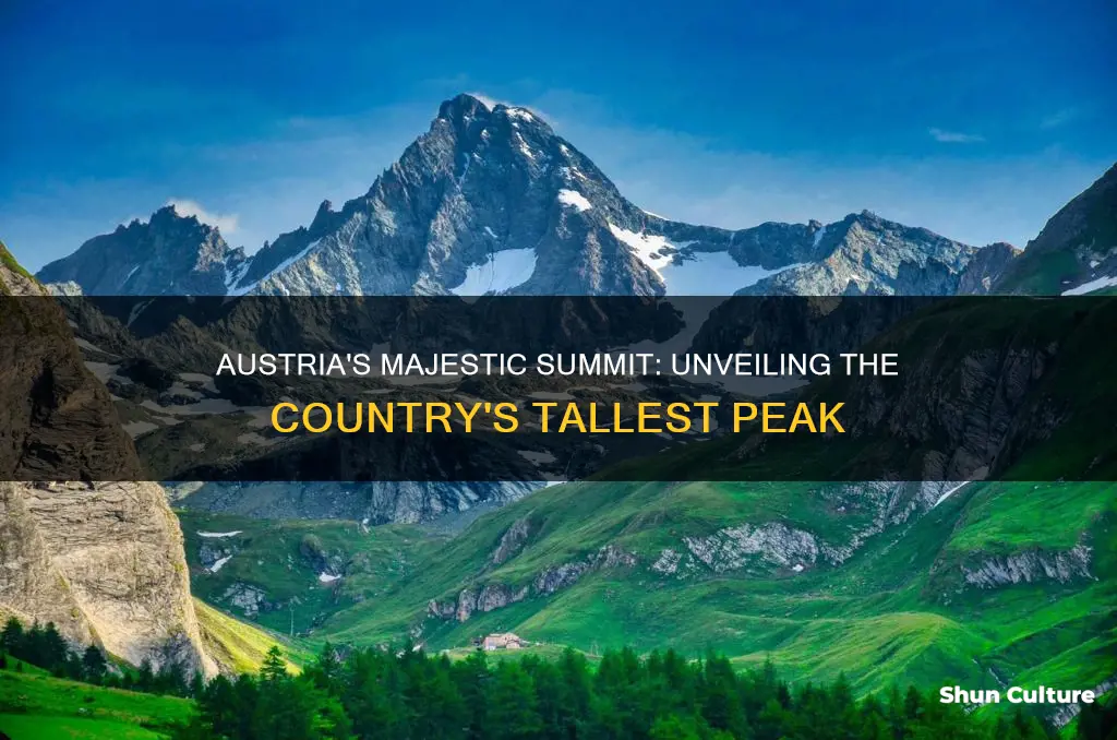 what is austrias highest mountain peak