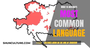 Unveiling Austria's Language: A Comprehensive Guide to the Most Common Tongue