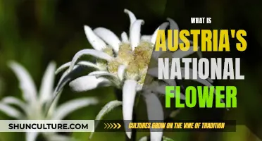 Austria's National Flower: Unveiling the Symbol of the Alps