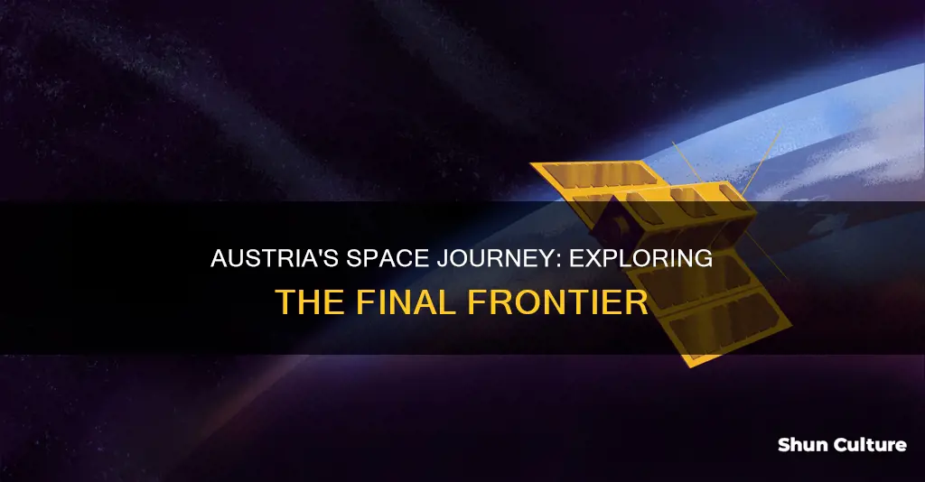 what is austrias space program