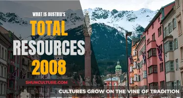 Austria's Total Resources in 2008: A Comprehensive Overview