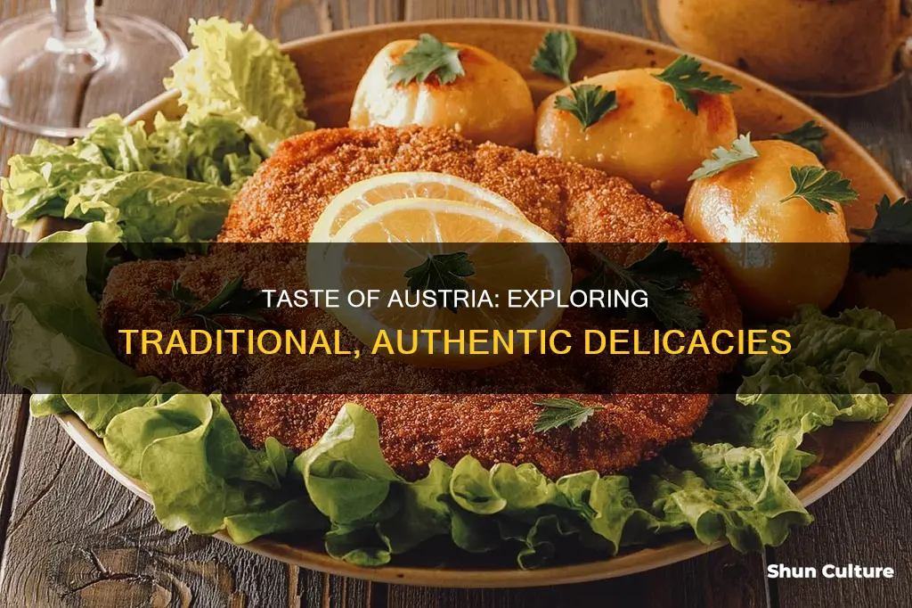 what is authentic austrian food