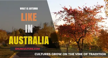 Exploring Australia's Autumn: Climate, Colors, and Unique Seasonal Charm