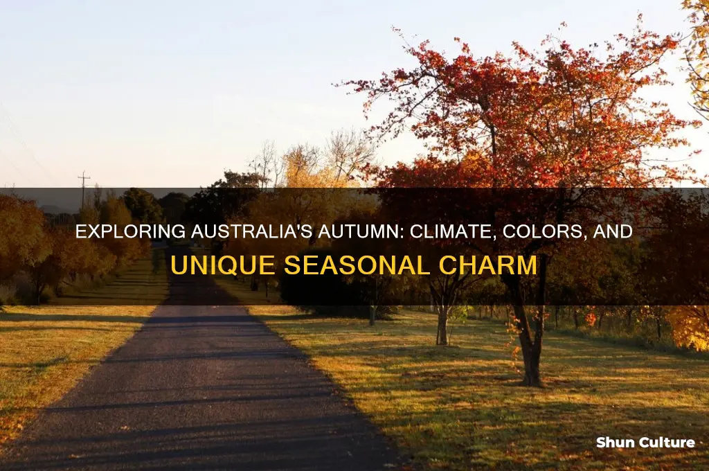 what is autumn like in australia