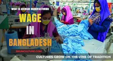 Exploring Bangladesh's Average Manufacturing Wage: Trends and Insights